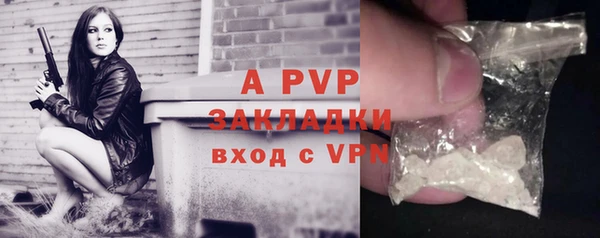 твердый Протвино
