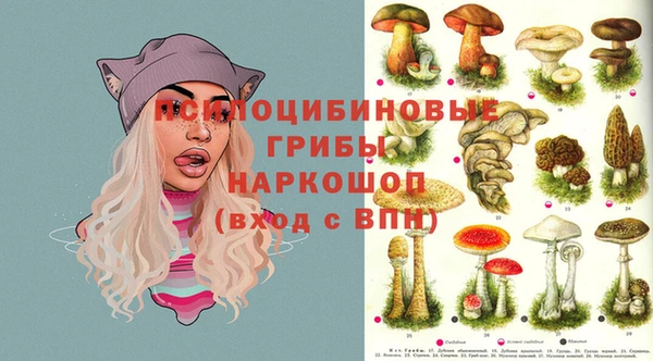 2c-b Белоозёрский
