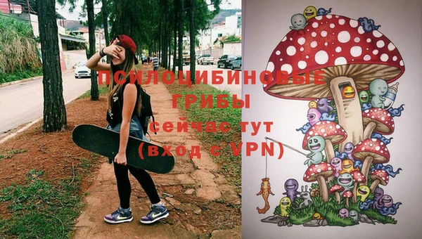 мдпв Приозерск