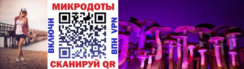 Псилоцибиновые грибы Psilocybine cubensis  как найти наркотики  Всеволожск 